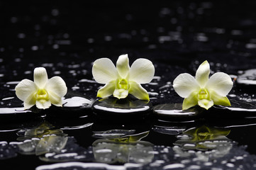 Still life with three white orchid with therapy stones