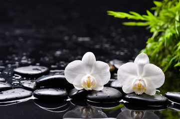 Naklejka na ściany i meble Still life with white orchid and bamboo leaf ,black stones