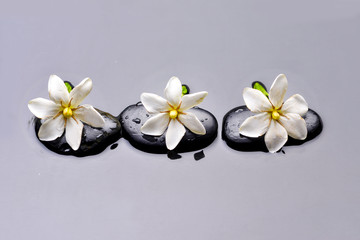 Three orchid with therapy stones