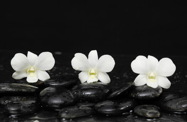 Fototapeta na wymiar Still life with three white orchid with therapy stones