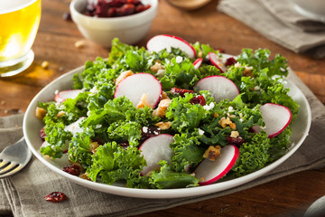 Healthy Raw Kale and Cranberry Salad