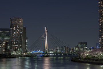 Fototapeta na wymiar 橋と高層マンション群の夜景