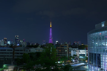 Fototapeta na wymiar 東京タワーとビル群の夜景