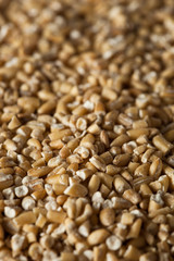 Raw Organic Steel Cut Oats