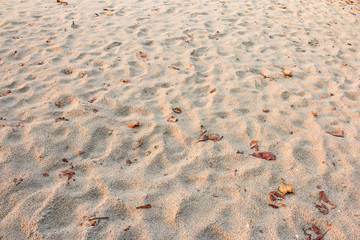 Sand beach texture background