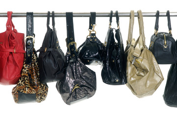 Set of different bag for females on hangers