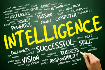 Intelligence word cloud, business concept