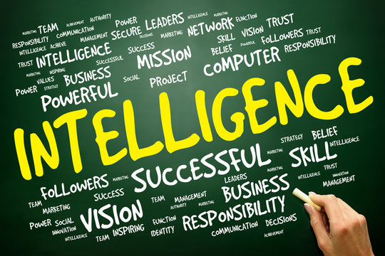Intelligence word cloud, business concept