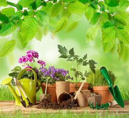 Outdoor gardening tools and plants.