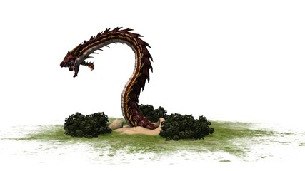 Dragon Snake Creature - separated on white background