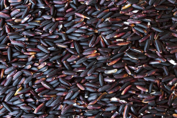 Black rice paddy