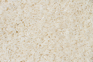 close up shot of the rice background