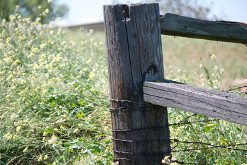 Fototapeta premium Fence Post