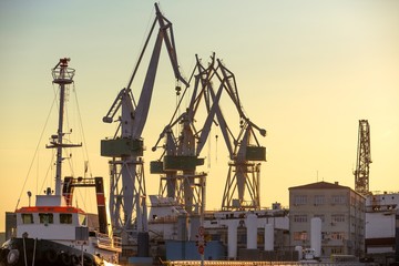 Industrial cargo cranes in the dock