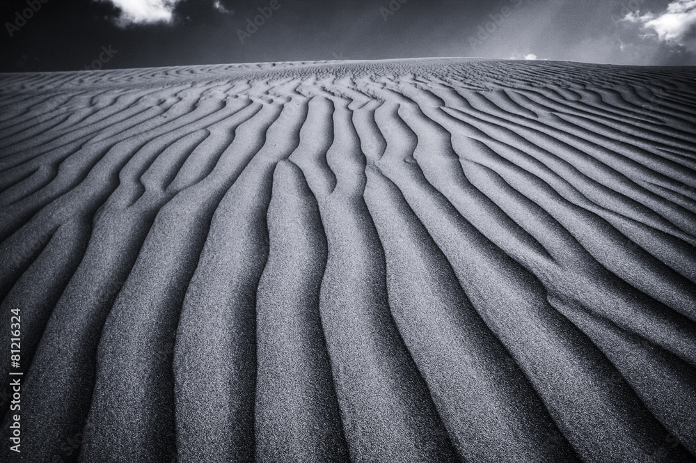 Wall mural wide tranquil empty desert in monochrome color