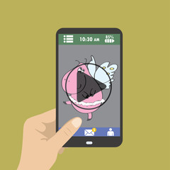 Mobile phone with video player on the screen