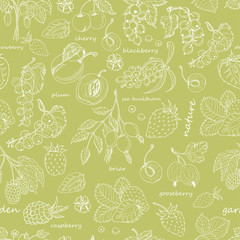 Vector seamless pattern with berries