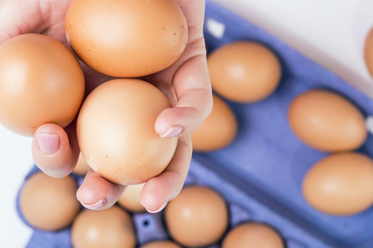 Eggs in a palm