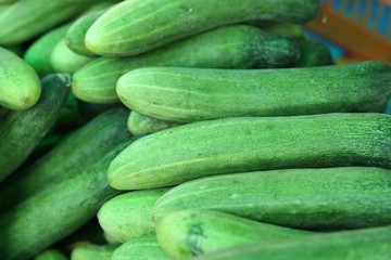 Fresh cucumber in the market