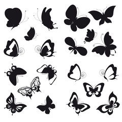 butterflies design