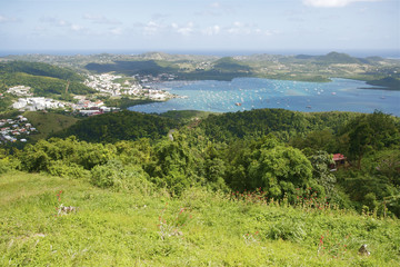Cul de Sac du Marin Le Marin Martinique Caribbean 11
