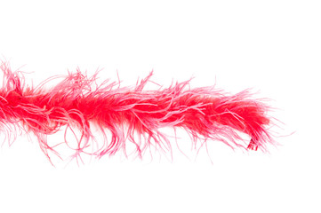 Portion of feather boa - 81224522