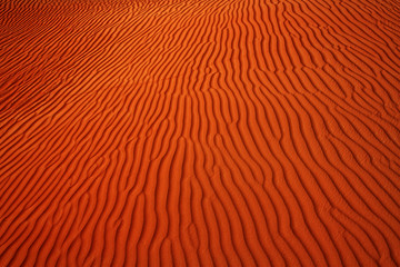 Dubai desert with beautiful sandunes