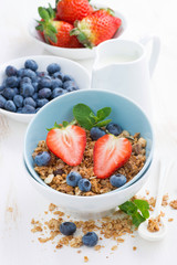 healthy food - granola, fresh berries and milk, vertical