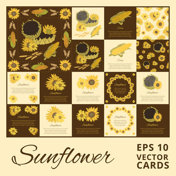 Sunflower vector greeting card set on the bright background