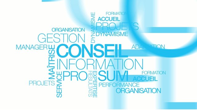 Conseil information gestion formation suivi nuage de mots