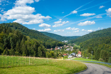 Fototapeta na wymiar Landschaftspanorama, Bad Herrenalb