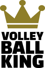 Volleyball King