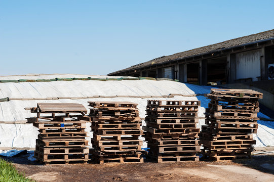 Pile di bancali in legno