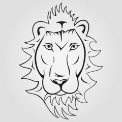 Lion head ioutlined on a white background