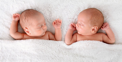 Newborn twins - obrazy, fototapety, plakaty