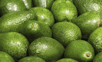many avocado