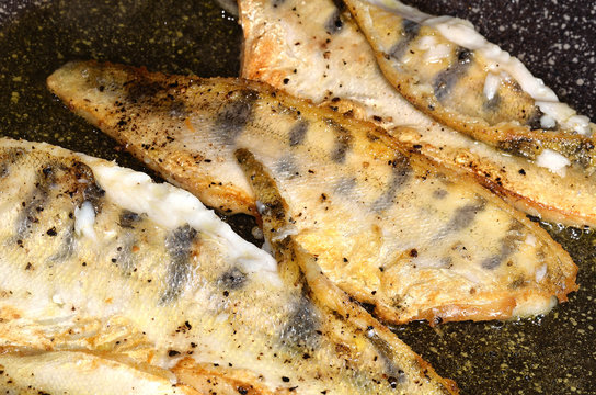 Zander-Filet in der Pfanne