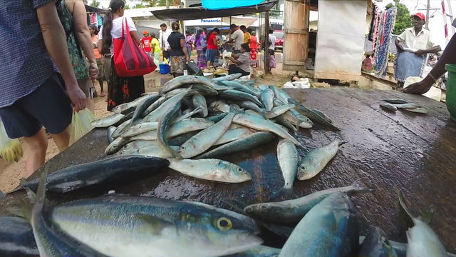 HIKKADUWA, SRI LANKA - MARCH 2014: Fresh fish on the table at market in Sri Lanka, customers passing by.