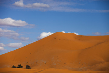 Fototapeta na wymiar erg chebbi sand dunes