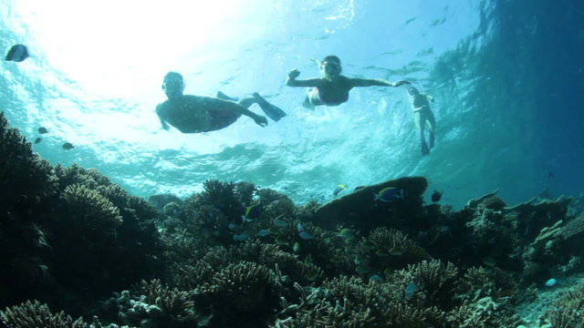 reef with snorklers
