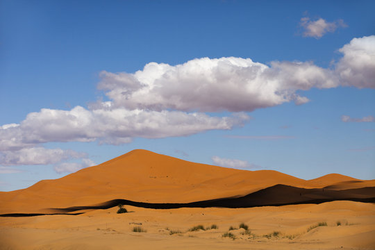 erg chebbi sand dunes © Dan Talson