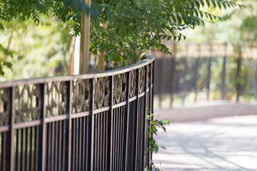 metal fence in the park