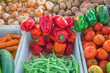 Different kinds of vegetables for sale at a market