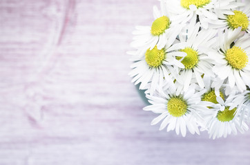 daisies blossoms bouquet on a light pastel surface