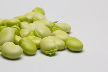 granos de habas 2