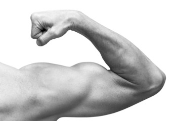 Strong male arm shows biceps. Close-up black and white