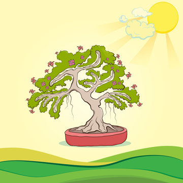 bonsai tree vector illustration