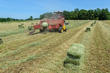Tractor in Field Picking Up Hay to Form into Bales
