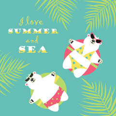 Cute polar bears swimming with rubber ring