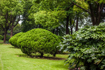Park in shanghai